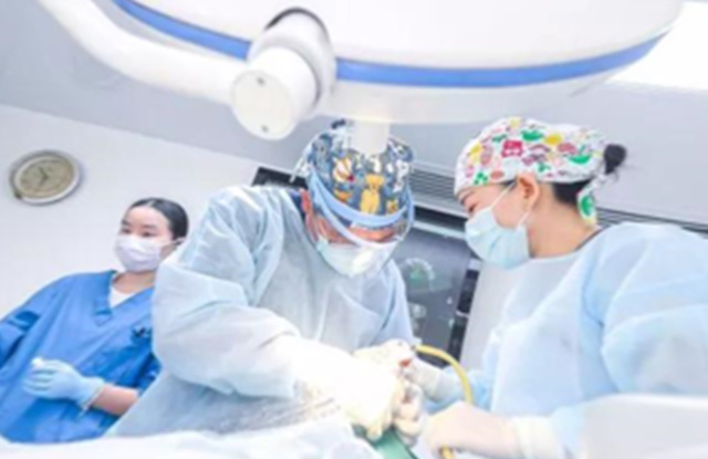 1519886359874884.jpg 2-1.jpg